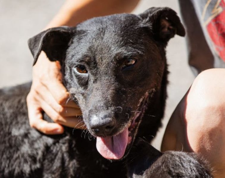 Hana ❤️ wundervolle, liebe Zuckerschnute