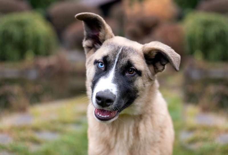 Cooler BOOMER wird ein guter Freund
