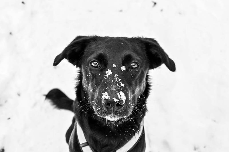 Süßer Paddy sucht seine Familie