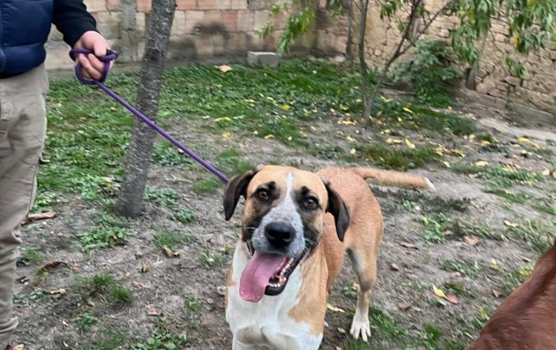 menschenbezogene Kiara