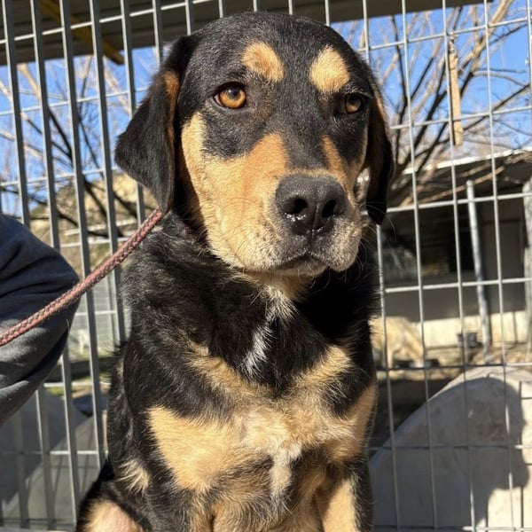 Tepp - junger, fröhlicher Bub