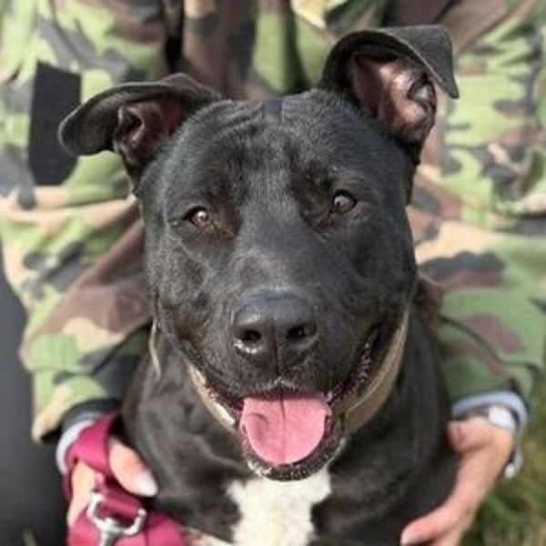 SUNNY sucht seine Menschen