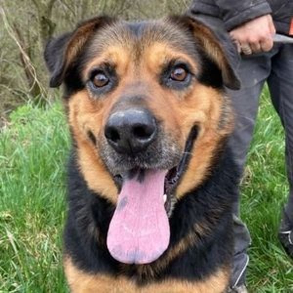 ZEUS wurde im Stich gelassen