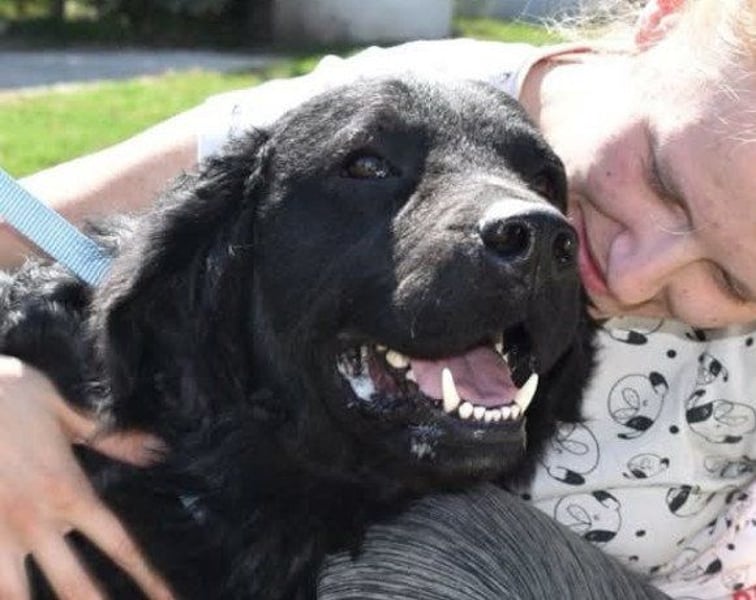 OldBoy ♥ Đoni ♥ sucht seine treuen Menschen