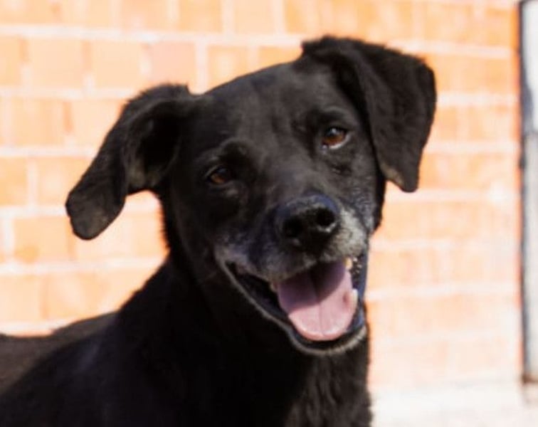 Audi ❤️ freundlicher & so lieber Schatz!