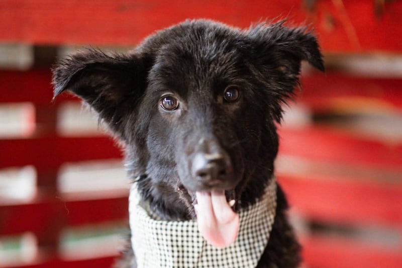 Kuschelbub ♥Noah♥ verspielt & lebensfroh