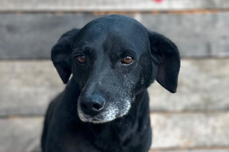 Audi ❤️ freundlicher & so lieber Schatz!