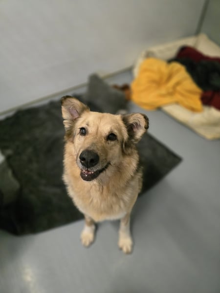 verschmuste, sanfte Alicia ❤️ sucht ihre Herzensmenschen