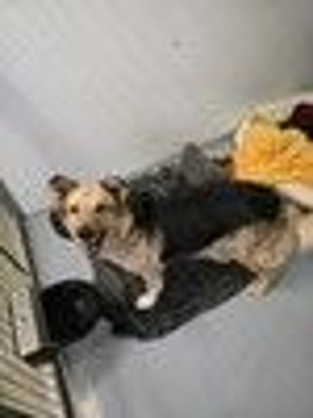 liebe Alicia wartet in Heilbronn