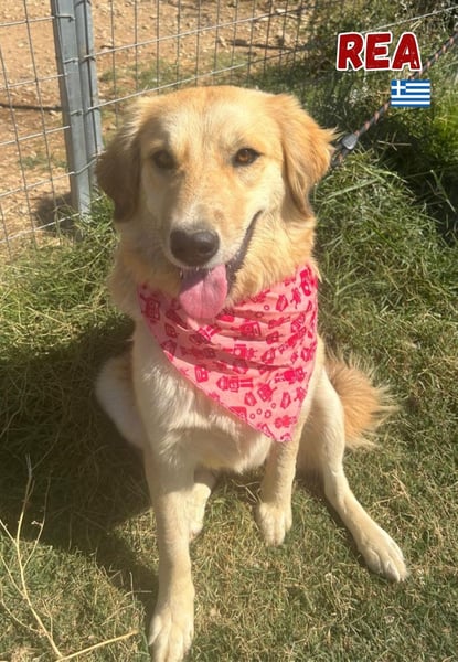 Rea - neugierig und lernwillig