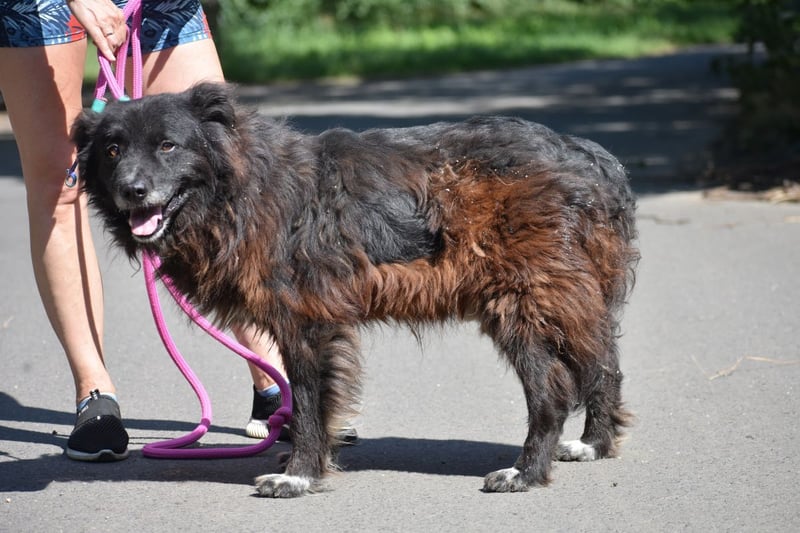 Senior Tapingo, Notfall!