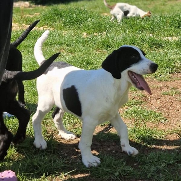 Faris - ein Sonnenschein