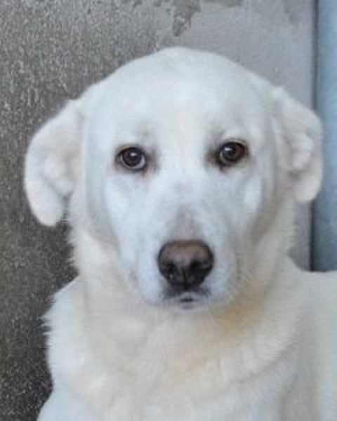 Cyra - Cyra, bald bist auch Du dran!