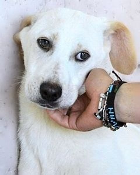 Radford - Ein Anfang, der nie kam