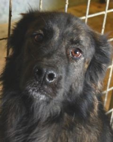 Nayra - unsere Süße