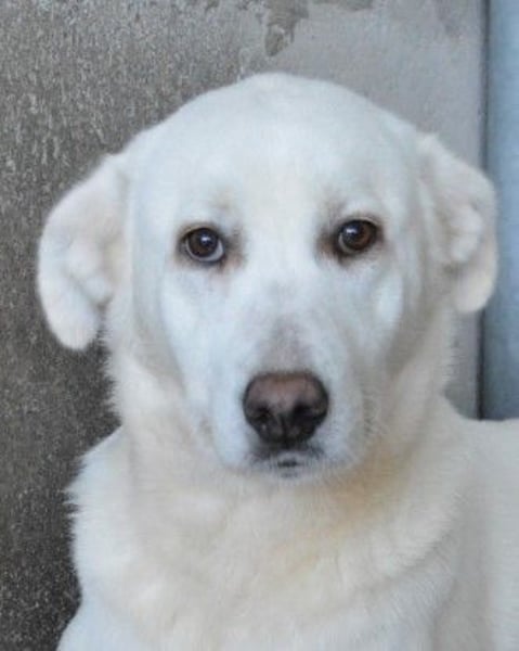 Cyra - Cyra, bald bist auch Du dran!