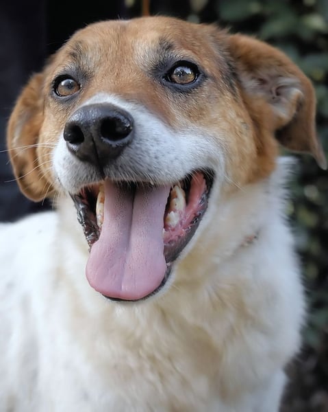 Kamyll - Der Platz neben dir