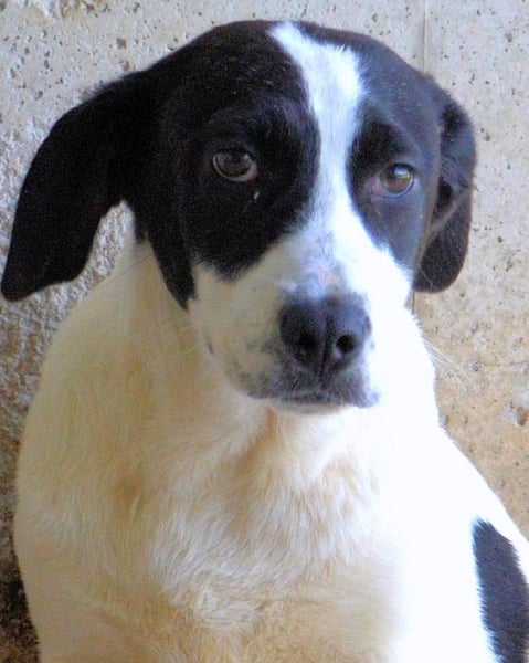 Raakel - Ein Anfang, der nie kam