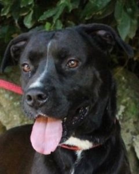 Sienna - Surferin der Herzen