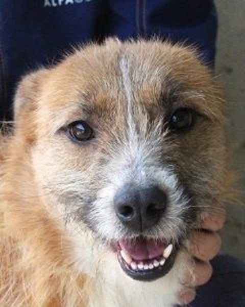 Renilde - eifrige Interviewpartnerin hat Pluspunkte gesammelt