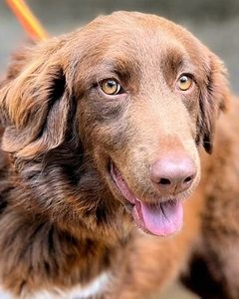 Beckey - Berufswunsch Prinzessin