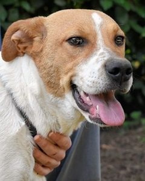 Zela - Z wie Zuckersüß und Zauberhaft