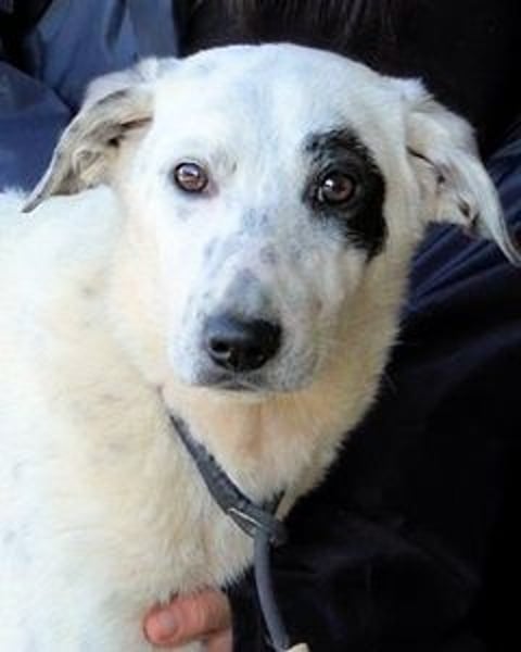 Arunny - aller guten Dinge sind drei