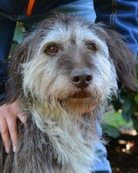 Minnie - Nach 7 Jahren Unglück endlich 7 Jahre Glück?