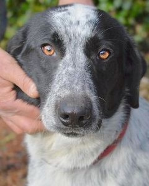 Flicka - möchte noch viel erleben