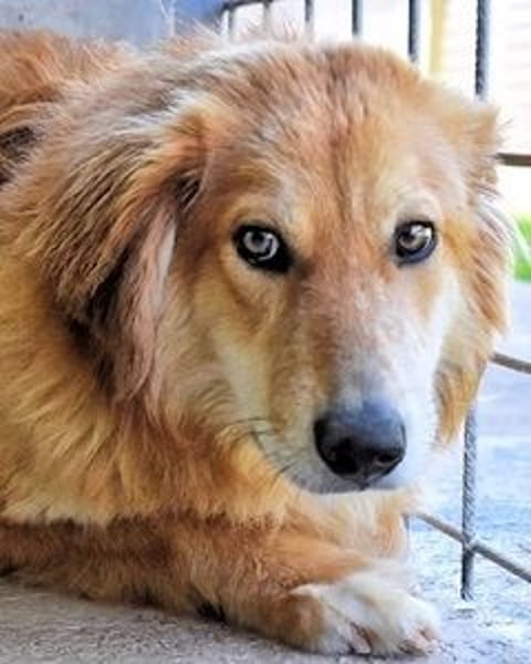 Jonathen - Die Flucht in mir