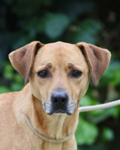 Jasper - Warten auf den einen Menschen