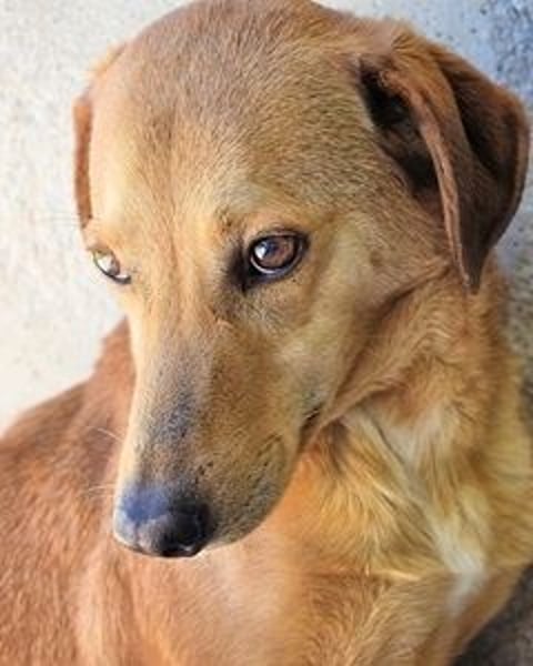 Benno- wenn du mutig bist, dann bin ich es auch!