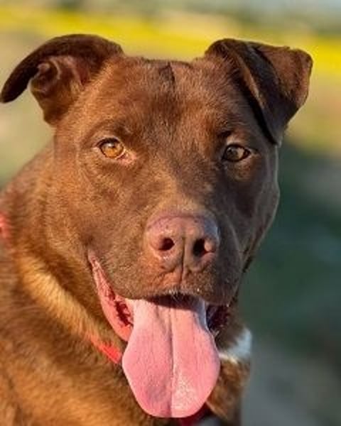 Birdy - Nähe, Liebe, Geborgenheit? das ist sein größter Wunsch