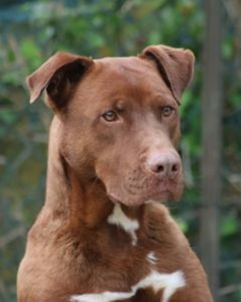 Birdy - Ich glaube, es wird Frühling