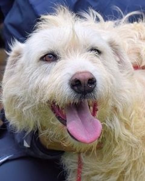 Gatsby - Der große Gatsby sucht seine Daisy