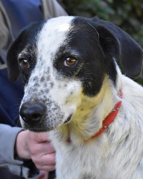 Kileo - ...Sternenstaub, wo bist du?