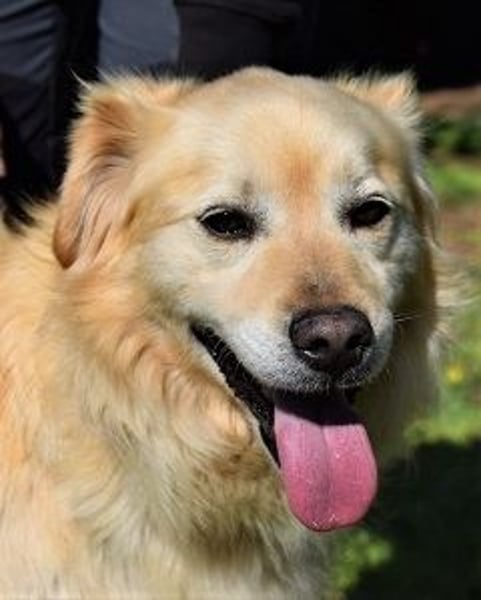 Alemix - Im zweiten Anlauf neuer Altersruhesitz gesucht