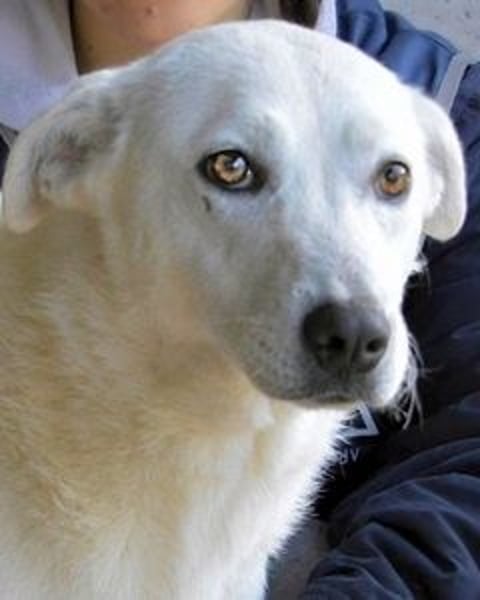 Dafnielle - Zukunft gesucht