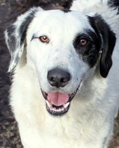 Marni - Dieses Herz hat schon zu lange gewartet