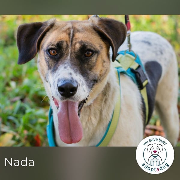 Nada ist voller Hoffnung