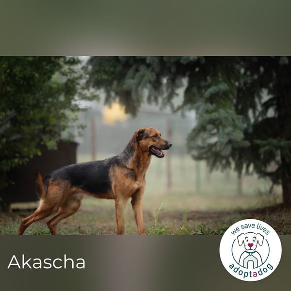 Akascha: Möchte endlich nach Hause!