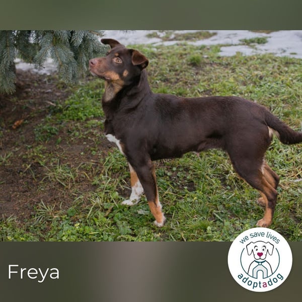 Freya: Junge Mama sucht ihr Glück