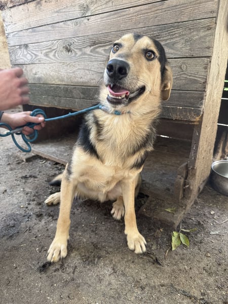 Ahmed möchte endlich glücklich sein