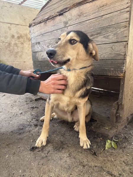 Ahmed möchte endlich glücklich sein