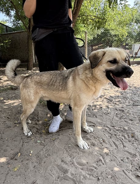 Warum werde ich immer übersehen