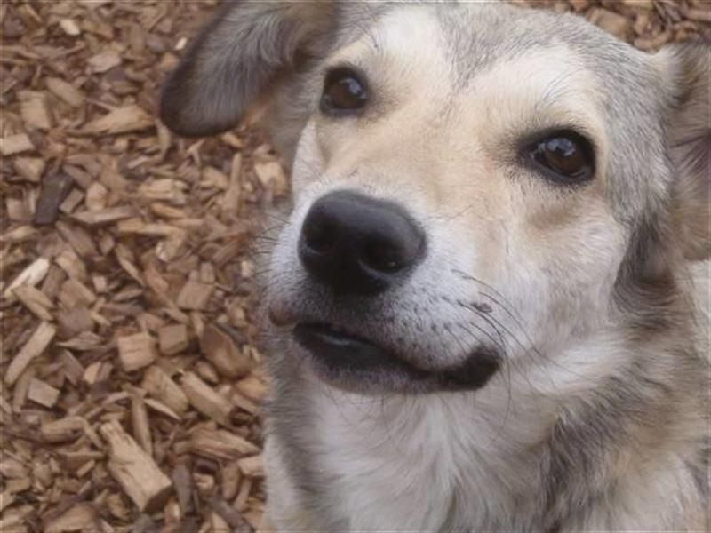 Svetlana - Seniorin sucht Altersruheplatz