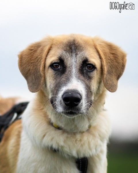 CAMEL auf Körbchensuche