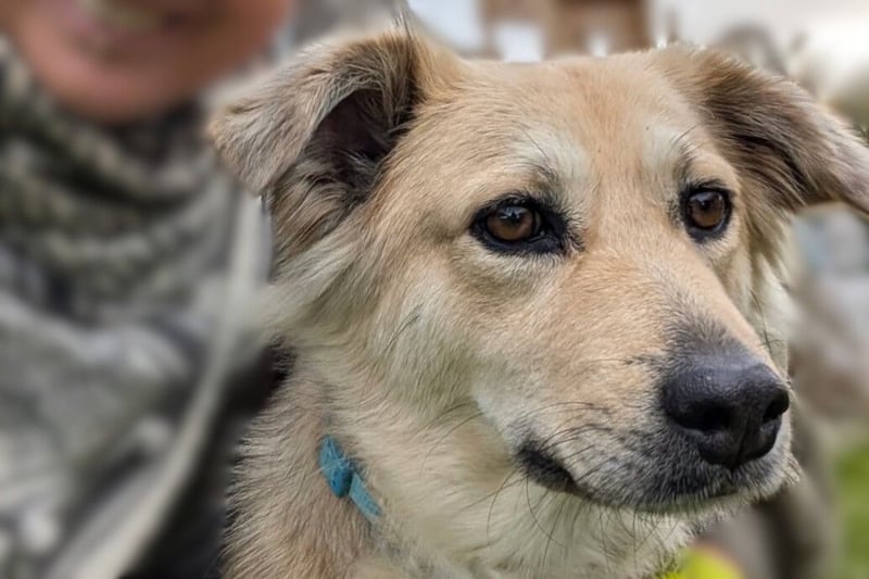 Luna möchte Teil deiner Familie werden