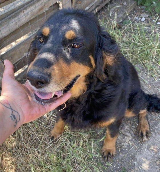 Ein gaaaanz besonders großer Schatz ist „MINKA“