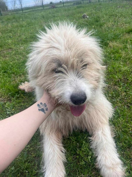 Zelda, geboren 01.06.2022, 62cm sucht ihr Glück